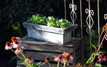 12 ideas de jardinería en contenedores para empezar la primavera